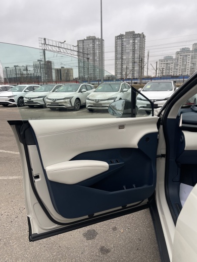 Zeekr X комплектация YOU (4 места) Бежевый на белом салоне