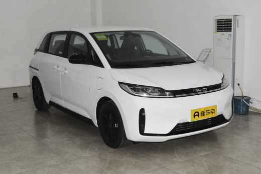 BYD D1