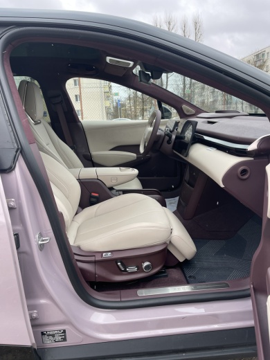 Zeekr X комплектация YOU (4 места) Розовый на бордовом салоне