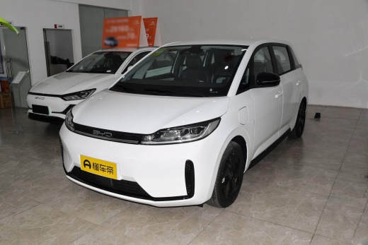 BYD D1