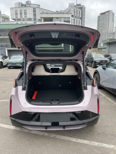 Zeekr X комплектация YOU (4 места) Розовый на бордовом салоне