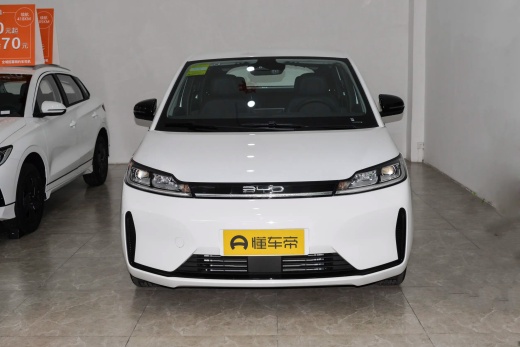 BYD D1