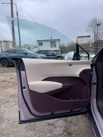 Zeekr X комплектация YOU (4 места) Розовый на бордовом салоне