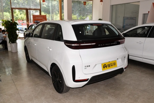 BYD D1