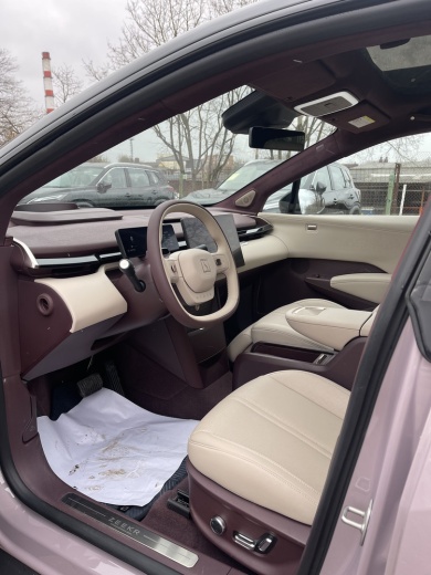 Zeekr X комплектация YOU (4 места) Розовый на бордовом салоне