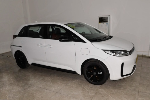 BYD D1