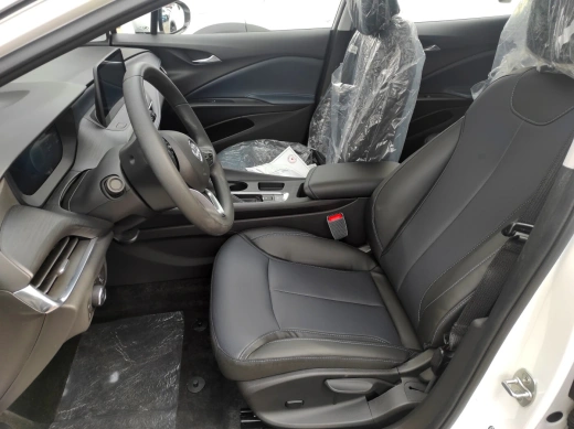 Buick Velite 6 50.3 kWh (177 л.с.) Enjoy Edition PLUS 450 km