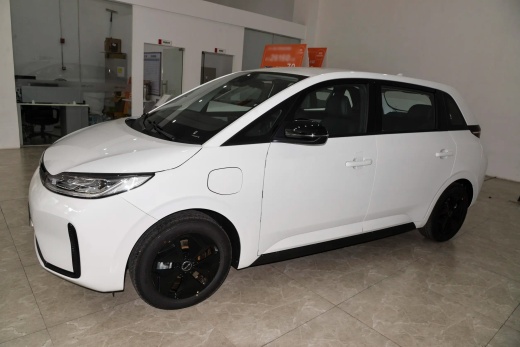 BYD D1