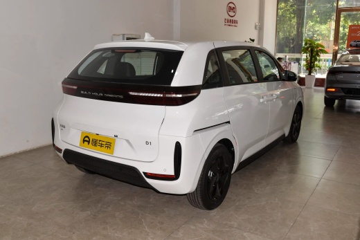 BYD D1