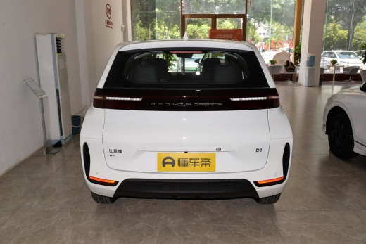 BYD D1